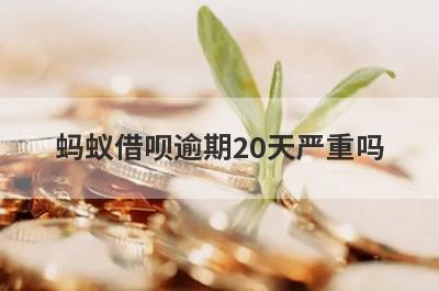 蚂蚁借呗逾期20天严重吗