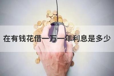 在有钱花借一万一年利息是多少 