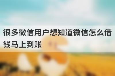 很多微信用户想知道微信怎么借钱马上到账