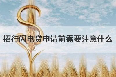 招行闪电贷申请前需要注意什么?