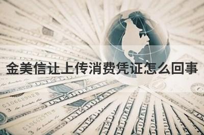 金美信让上传消费凭证怎么回事?