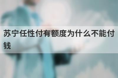 苏宁任性付有额度为什么不能付钱 