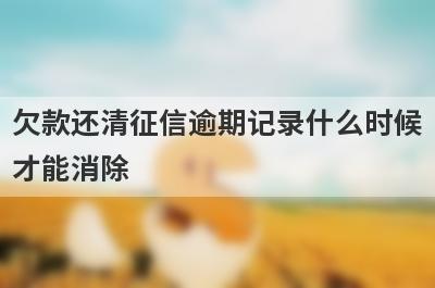 欠款还清征信逾期记录什么时候才能消除 