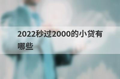 2022秒过2000的小贷有哪些,正规借2000的小贷口子