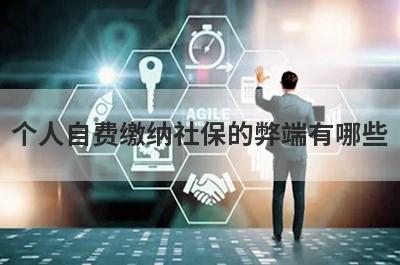 个人自费缴纳社保的弊端有哪些?