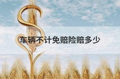 车辆不计免赔险赔多少