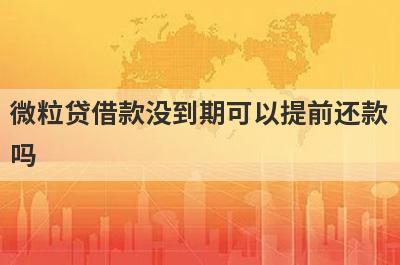 微粒贷借款没到期可以提前还款吗?