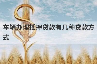 车辆办理抵押贷款有几种贷款方式?