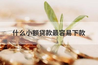 什么小额贷款最容易下款 这几个通过率高