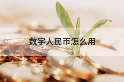 数字人民币怎么用?