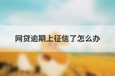 网贷逾期上征信了怎么办?给你两点建议