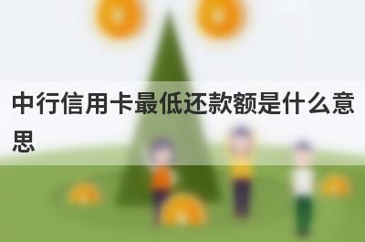 中行信用卡最低还款额是什么意思 