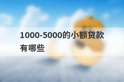 1000-5000的小额贷款有哪些?快速借款几千元的网贷