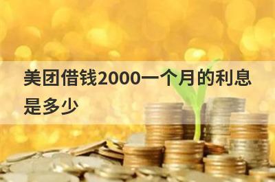 美团借钱2000一个月的利息是多少?