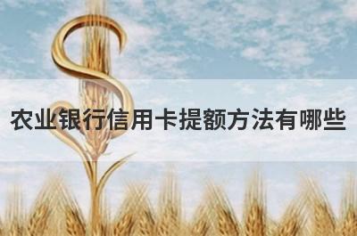 农业银行信用卡提额方法有哪些?