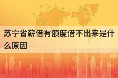 苏宁省薪借有额度借不出来是什么原因 