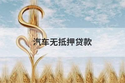 汽车无抵押贷款 正规不押车不押绿本的车主贷