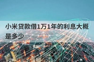 小米贷款借1万1年的利息大概是多少 