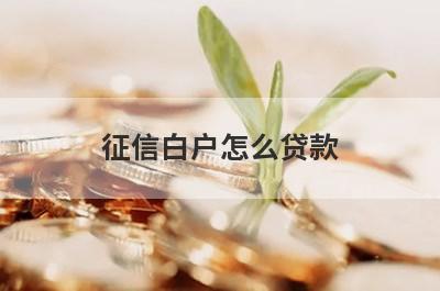 征信白户怎么贷款 可以通过这几种方法