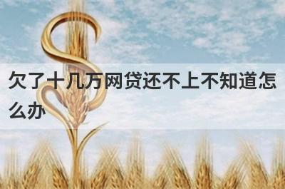 欠了十几万网贷还不上不知道怎么办 
