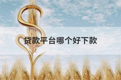 贷款平台哪个好下款（五个比较好通过的软件）
