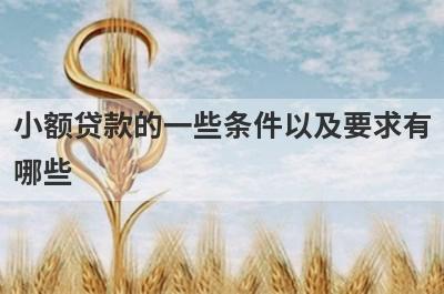 小额贷款的一些条件以及要求有哪些?
