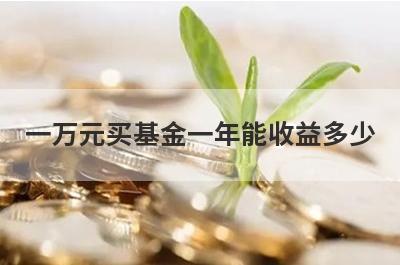 一万元买基金一年能收益多少?