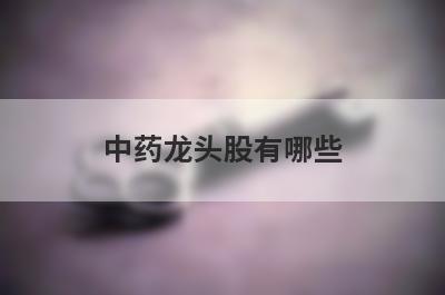 中药龙头股有哪些