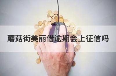 蘑菇街美丽借逾期会上征信吗?