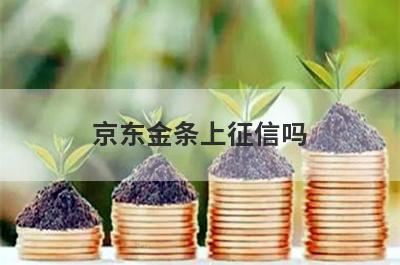 京东金条上征信吗?
