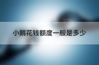 小鹅花钱额度一般是多少 可以分多少期 