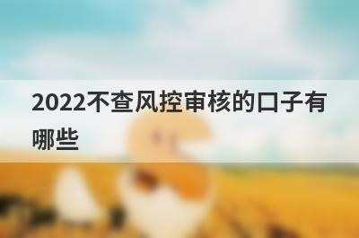 2022不查风控审核的口子有哪些?