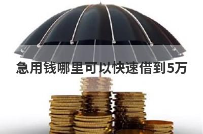 急用钱哪里可以快速借到5万?借5万的软件用这几个