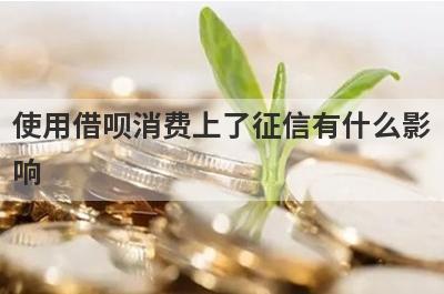 使用借呗消费上了征信有什么影响?