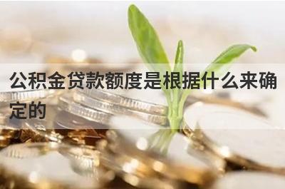 公积金贷款额度是根据什么来确定的 