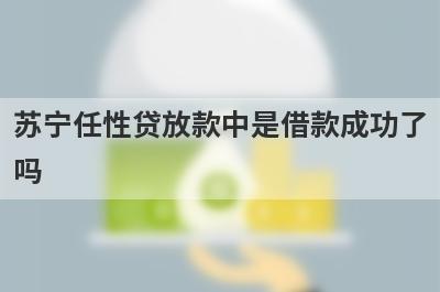 苏宁任性贷放款中是借款成功了吗?