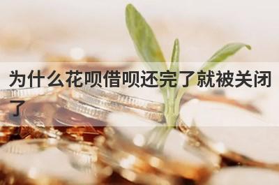 为什么花呗借呗还完了就被关闭了 该怎么挽救呢 