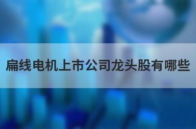 扁线电机上市公司龙头股有哪些?