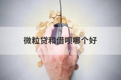 微粒贷和借呗哪个好 哪个利息低更划算 