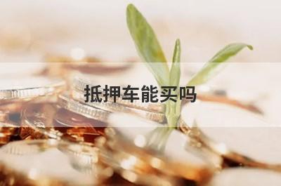 抵押车能买吗