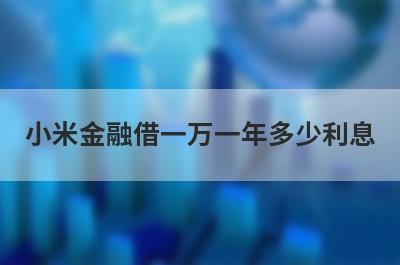 小米金融借一万一年多少利息 