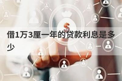 借1万3厘一年的贷款利息是多少?