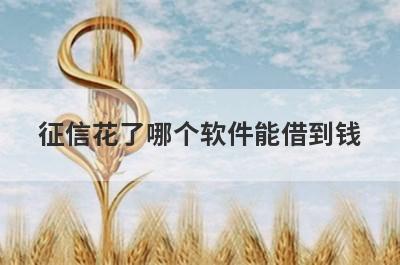 征信花了哪个软件能借到钱?
