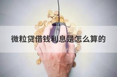 微粒贷借钱利息是怎么算的?