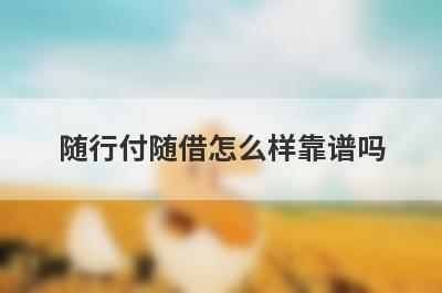 随行付随借怎么样靠谱吗 