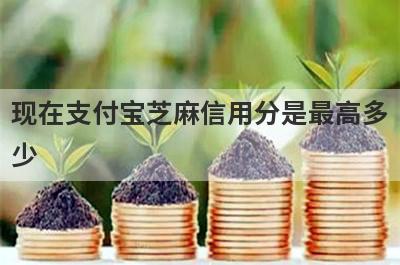 现在支付宝芝麻信用分是最高多少?