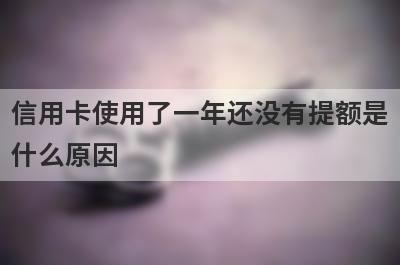 信用卡使用了一年还没有提额是什么原因?