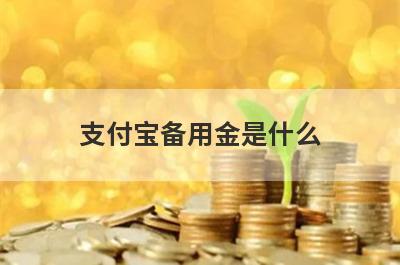 支付宝备用金是什么 