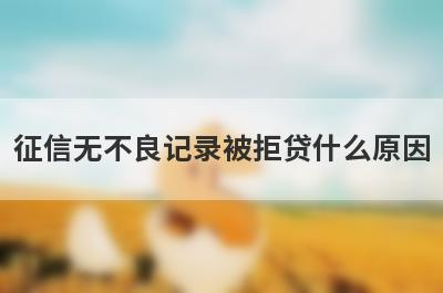 征信无不良记录被拒贷什么原因 了解一下这几点