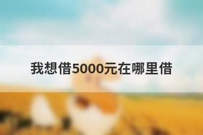 我想借5000元在哪里借 能借5000元的贷款平台